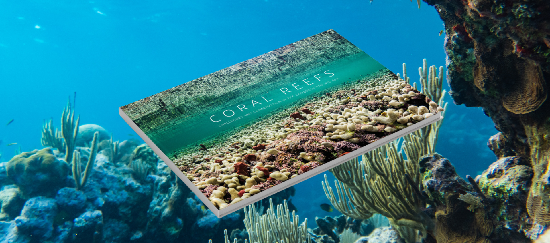 Coral Reefs Book | MSC Foundation