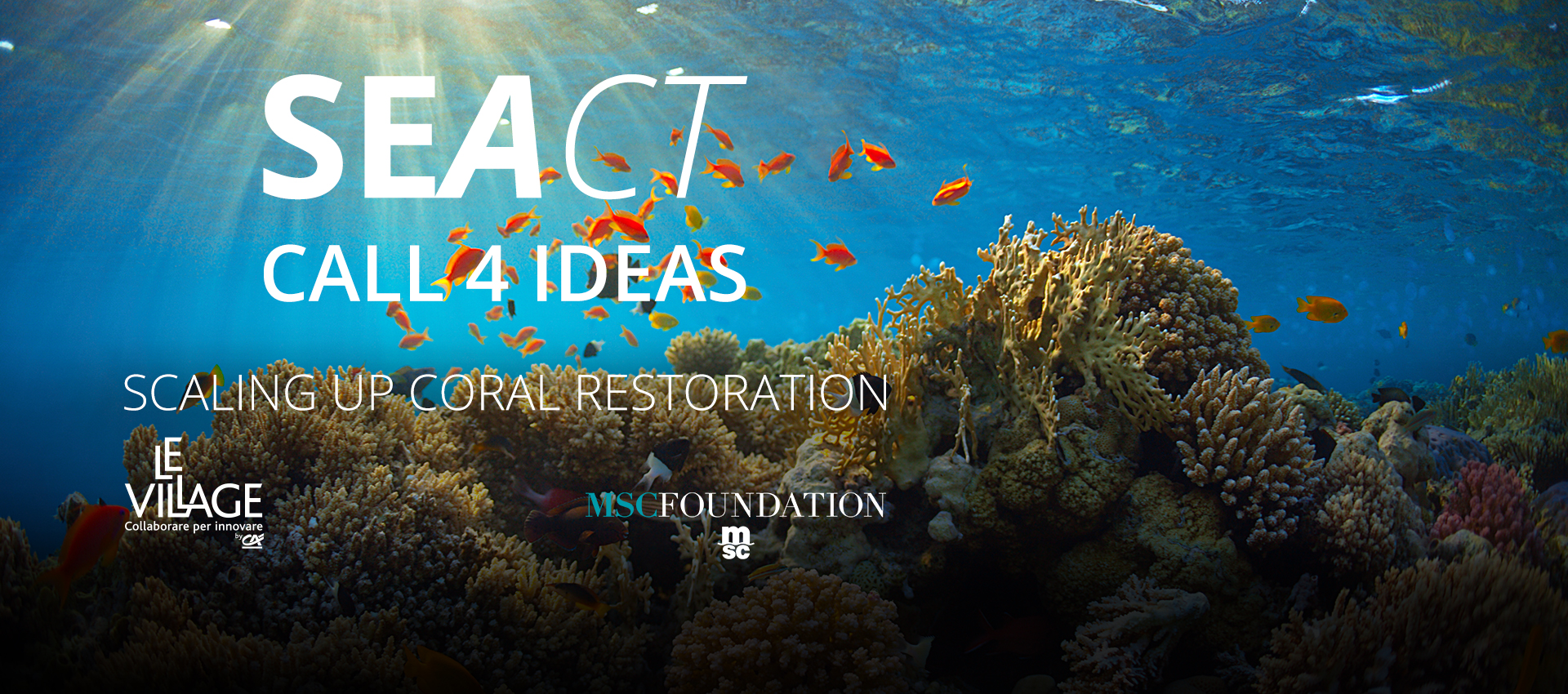 Attracting innovation talent to power the scaling up of coral restoration | MSC Foundation